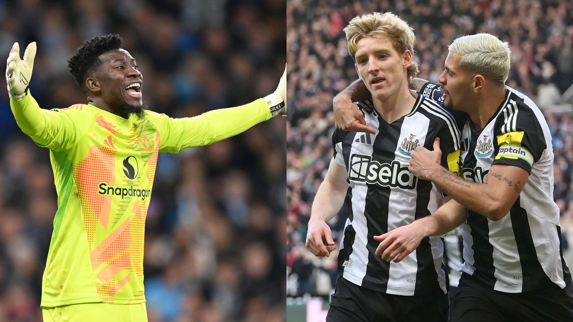 熟的竞技体 熟的竞技体